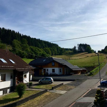 Ferienwohnung Am Nuerburgring/Wintersport Arft Acht Luaran gambar